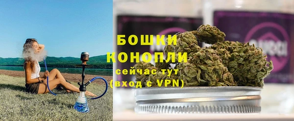 спайс Нея