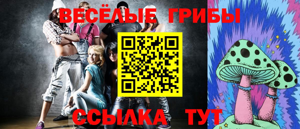 Галлюциногенные грибы Magic Shrooms  Псилоцибиновые грибы ЛСД  Вход с VPN  Россия 