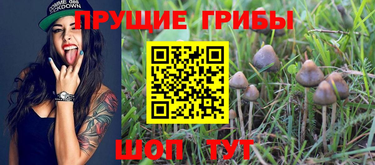 Галлюциногенные грибы Magic Shrooms Россия